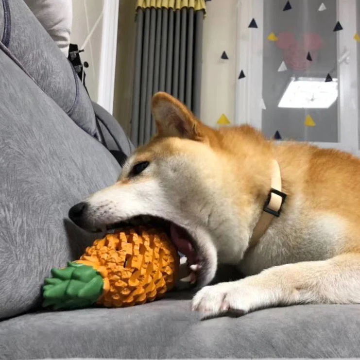 Funny Fruits Shape Dog Toy Pet Teeth Clean Molar Teeth Chew Bite Pet Toys Pets Products