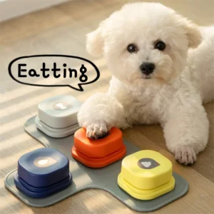 4 Colors Pet Communication Button One-click Prevent Physical Inactivity Recordable Dog